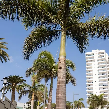 121 Paraiso Del Sur Perfect Stay By Sunkeyrents